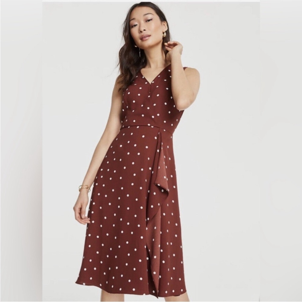 NWT Ann Taylor Brown Polka Dot Dress Size 10